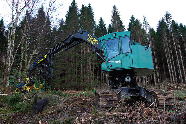 JD timber John Deere: Monster of the Forest