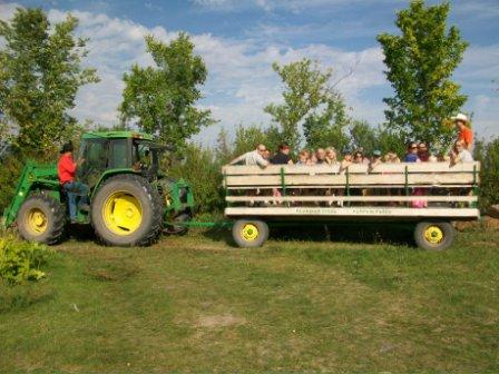 Pumpkin Patch Bed And Breakfast Manitoba