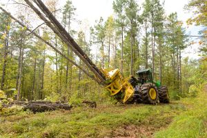 The John Deere FD55 Disc Saw Felling Head allows increased production 