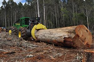 John Deere Forestry adds new wheel weight package 