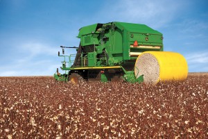 Cotton Production Reports for 2012