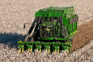 Georgia Cotton Commission awaiting decision from cotton growers
