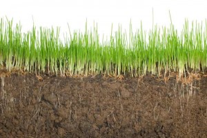 The natural structure of soil is not being enhanced by synthetic fertilizers