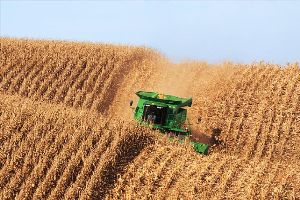U.S. Corn acreage is expected to increase slightly in 2013, representing highest acreage total since 1936
