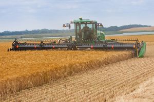 Nebraska could experience its smallest wheat crop since 1944 according to a recent USDA forecast 