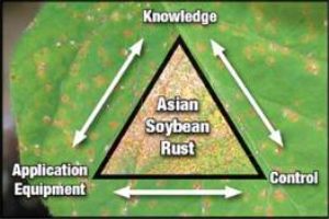 Due to Tropical Storm Andrea, Asian soybean rust could spread north faster than normal 