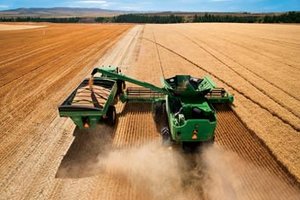 Safety experts are urging grain harvesters to use caution when storing this year's crops which contain above average moisture levels
