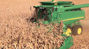 Biggest-ever corn harvest leads to increased chicken production