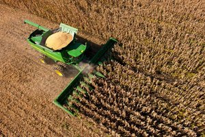 Corn and soybean harvest rates are behind yearly averages due to slow to mature crops 
