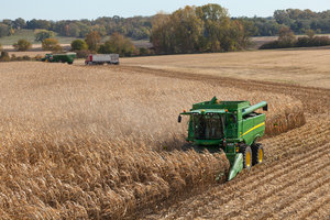 The slow maturity of Iowa's corn crop could lead to a demanding harvesting season. 