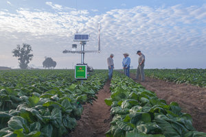 Many crop producers in the Southeast will be using land that was previously devoted to cotton, for soybeans in 2015. 