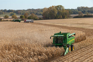 The United States accounts for nearly 40 percent of the world's annual corn exports.  