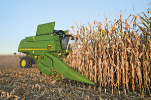 2015's corn crop is projected to be the third largest on record, according to the USDA. 