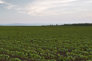 The Illinois Department of Agriculture's upcoming seminars will help farmers better understand how soil and water conservation best practices can improve their operation. 