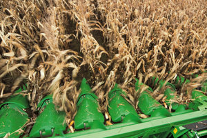 Corn and corn products remain as critical components of the United States economy. 
