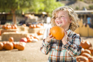The John Deere Fall Festival's list of activities will make for a fun family event. 
