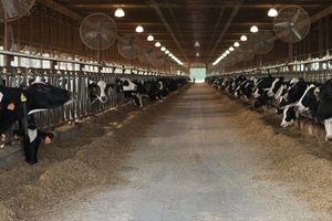 Conference attendees will learn how other farmers are utilizing technology to increase the productivity of their dairy farm operations.