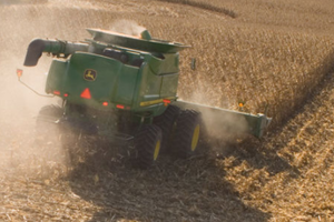 High winds can down corn and leave it difficult to harvest. The University of Nebraska outlines tips to assist producers.