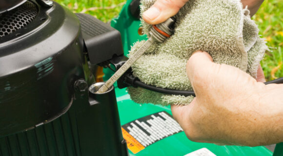 Lawn Maintenance