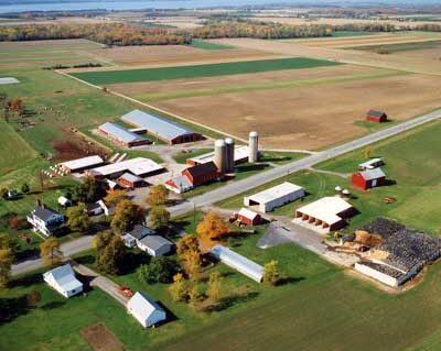 Farm View