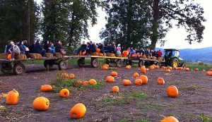 Pumpkin HayRide Images