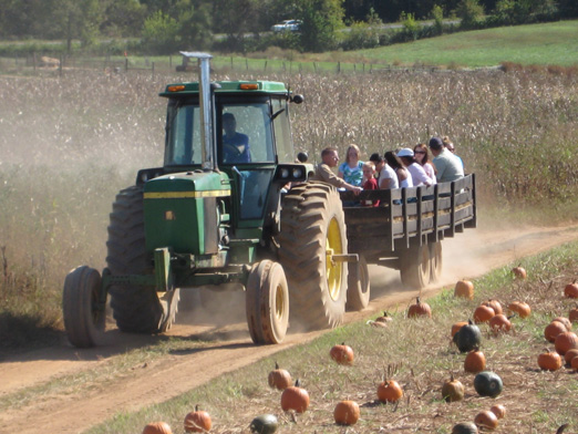 Tractor Hayride