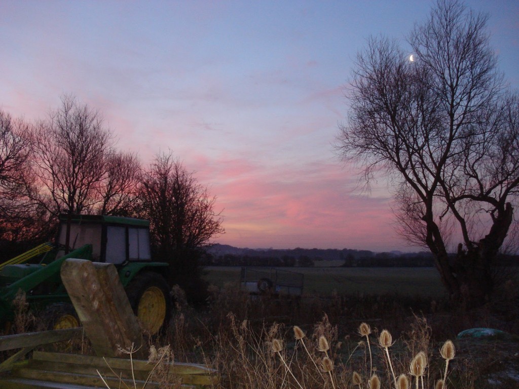 John Deere tractor photo in the early morning with the moon