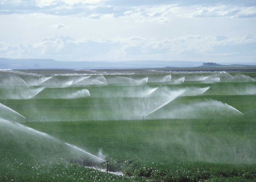 Agricultural Term - Irrigation