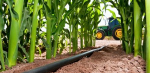 Corn planting based on climate