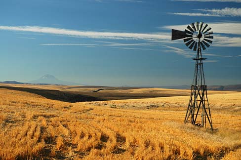 12 Awe-Inspiring Crop Field and Farm Pictures