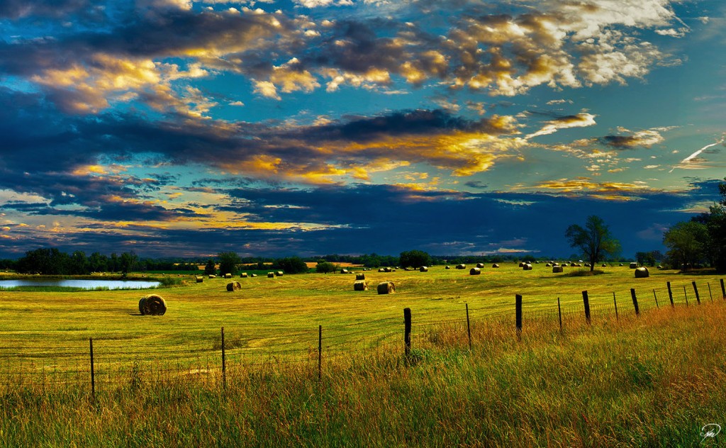 Farm photo of a hay crop field at sunset 