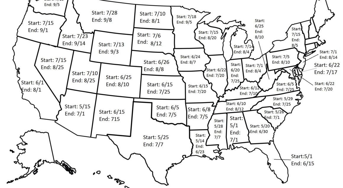 Tips and Considerations for the Summer Wheat Harvest Season