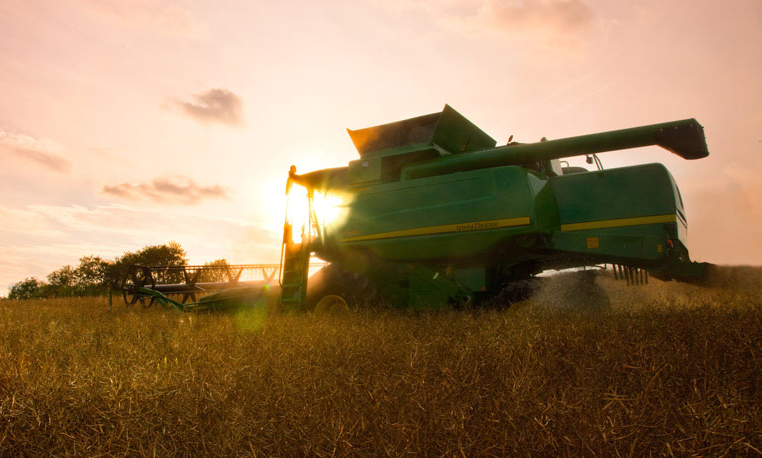 Combine Harvesting at Sunset 