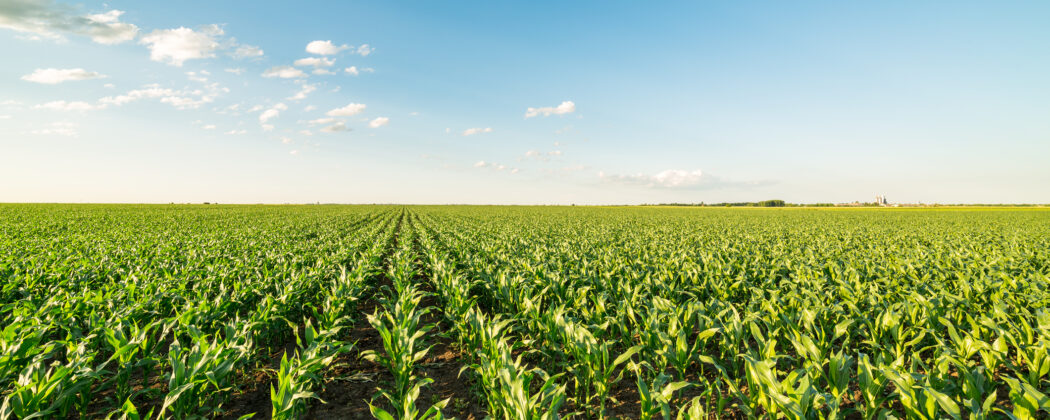 a-visual-look-at-typical-u-s-corn-harvest-dates-machinefinder