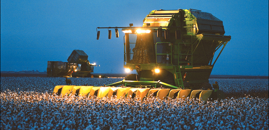 Cotton Harvest at Night 