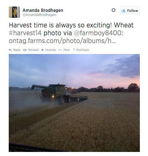 Harvest 2014