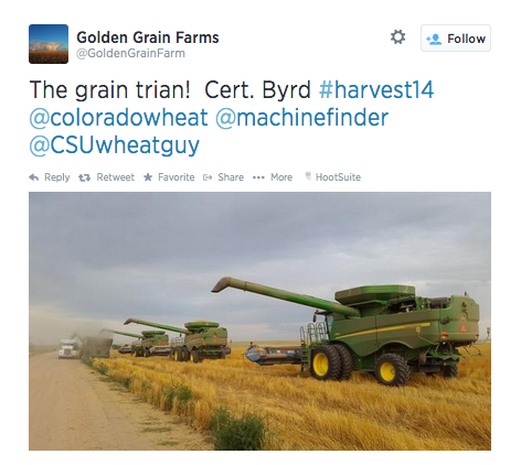 Harvest 2014