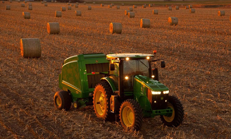 hay and forage