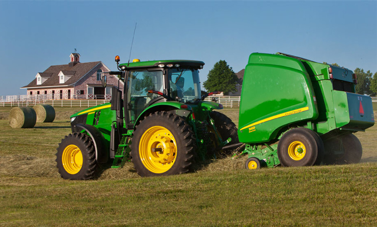 hay and forage