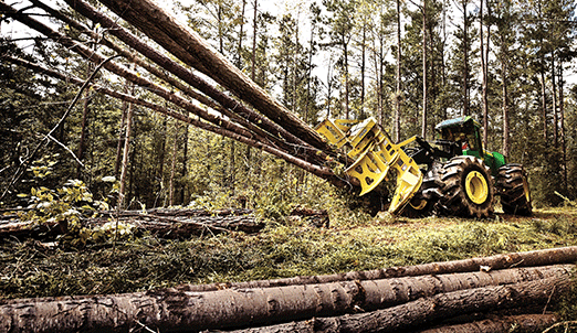 forestry operations