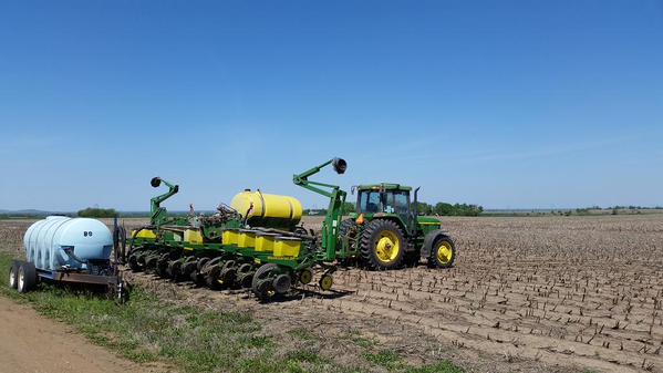 plant15