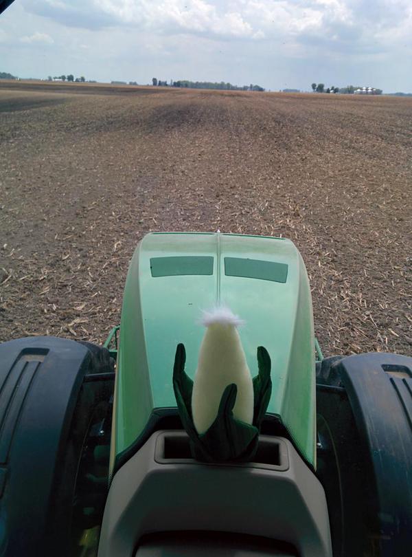 plant15