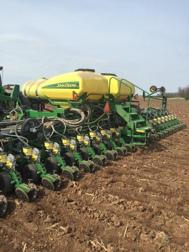 plant15