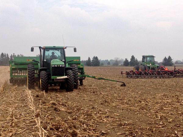 plant15