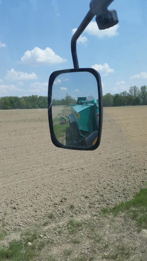 plant15