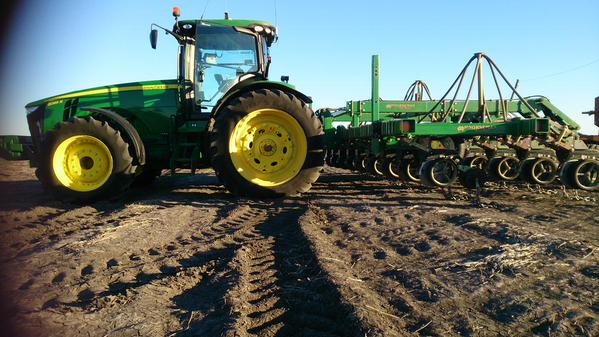 plant15