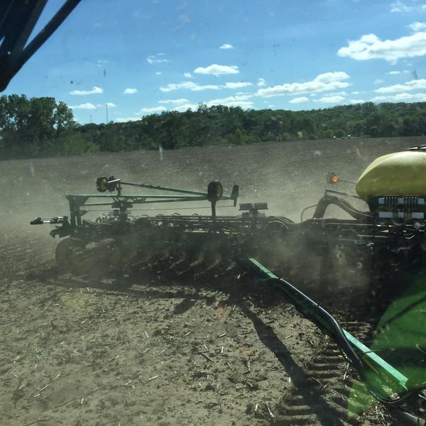 plant15