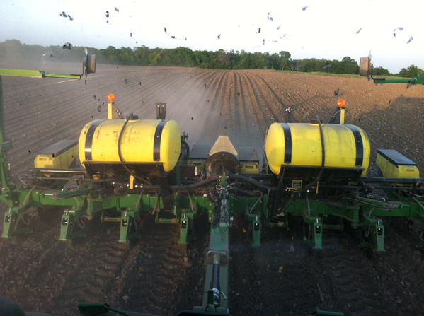 plant15