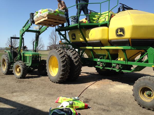 plant15