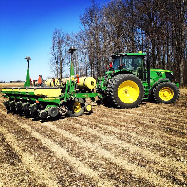 plant15